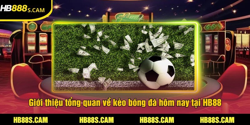 Kèo Bóng Đá Hôm Nay Tại HB88 - Cập Nhật Tỷ Lệ Cược 1 Giới thiệu tổng quan về kèo bóng đá hôm nay tại HB88